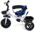 Children's tricycle FUNFIT KIDS TWIST